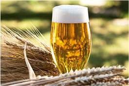Breakside Brewery Unveils 2019 Release Schedule Featuring New Beers